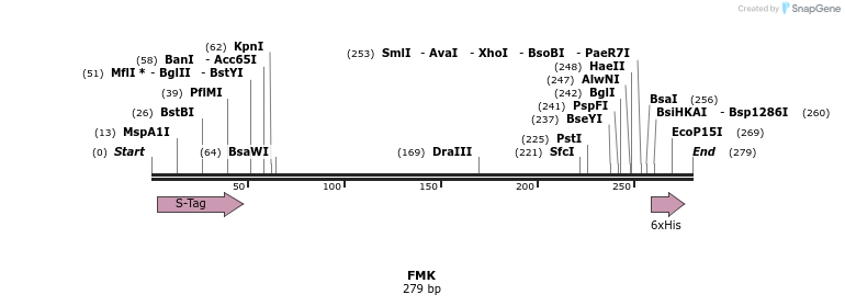 7331_map