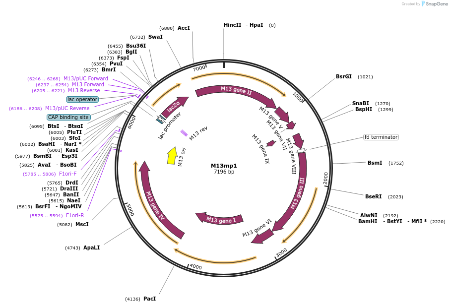74570_map