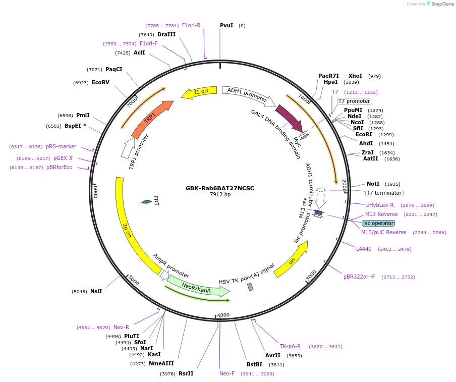 74619_map