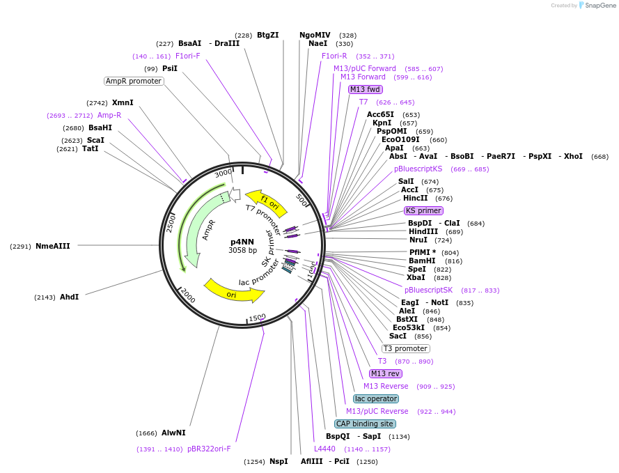 50679-plasmid-map-sequence-id-75840