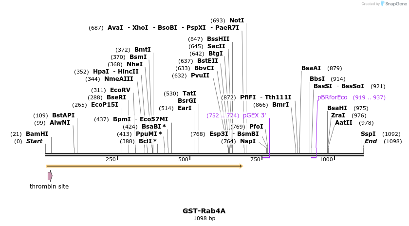 75878_map