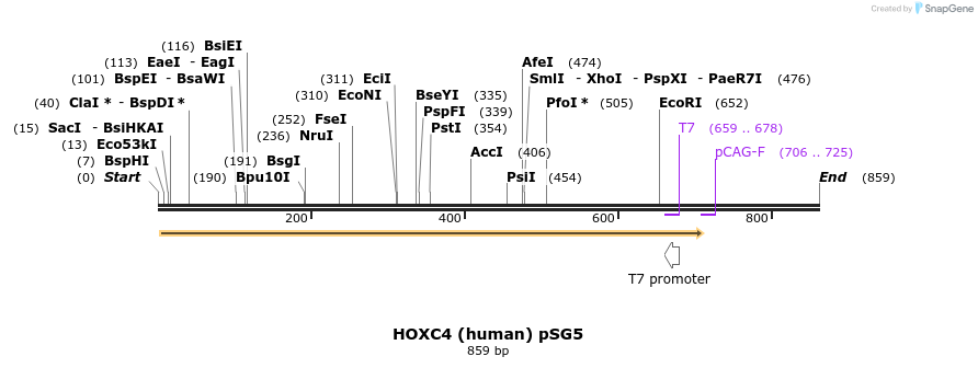 76890_map