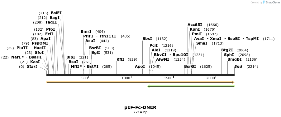 77296_map