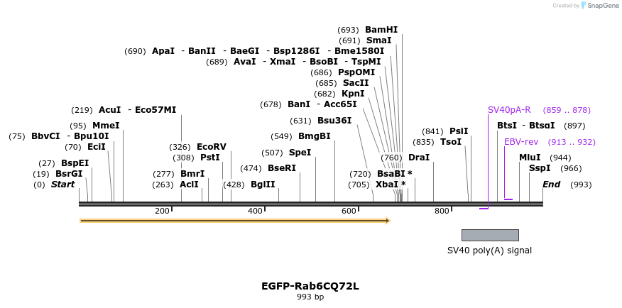 77361_map