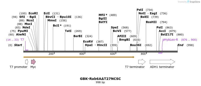 77435_map