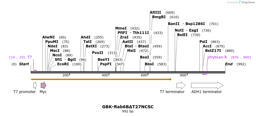 77438_map