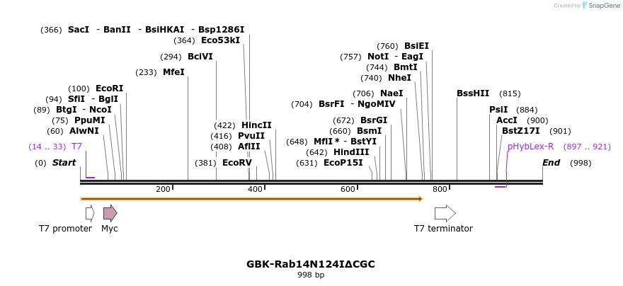 77455_map