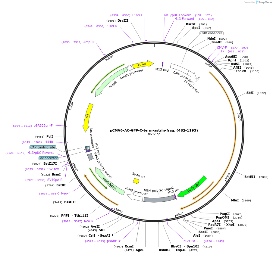 78022_map