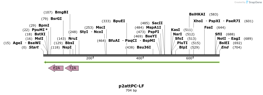 80336_map