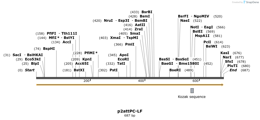 80406_map