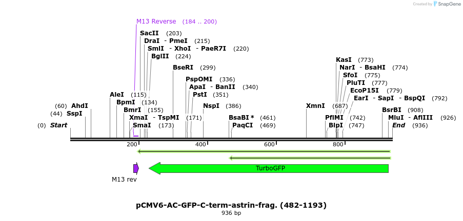 80563_map