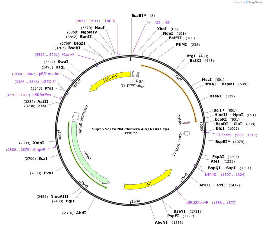 15602-plasmid-map-sequence-id-8319