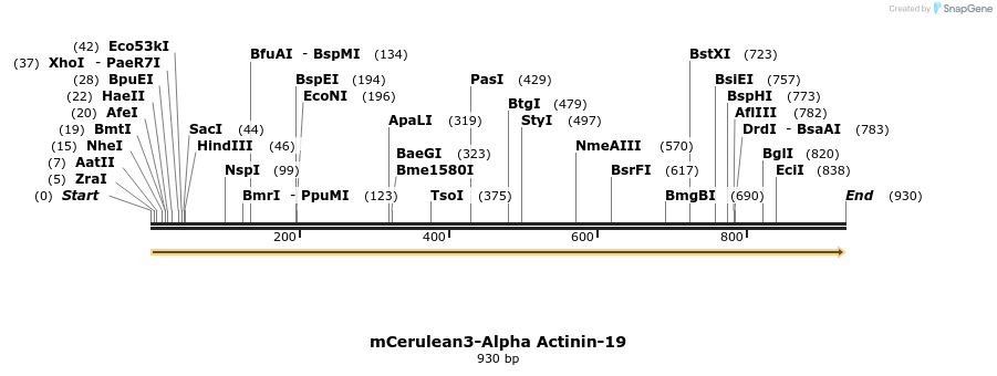 85807_map