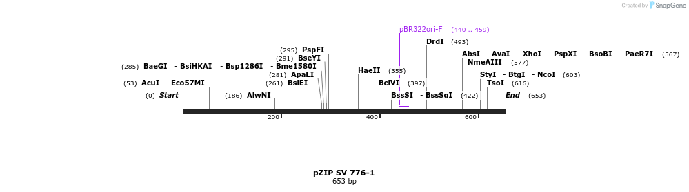 91518_map