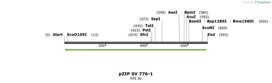 91519_map