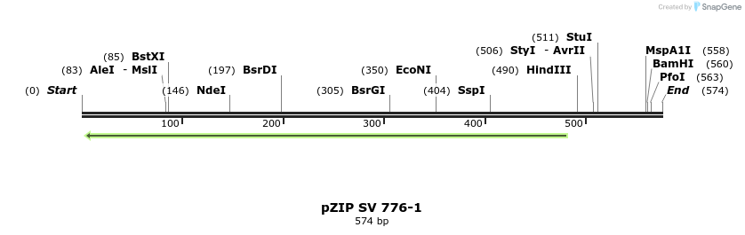 91520_map