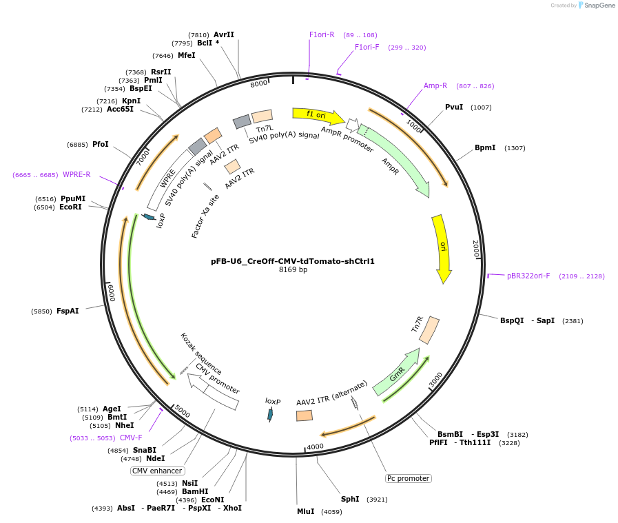 91573_map