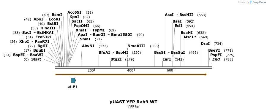 92296_map