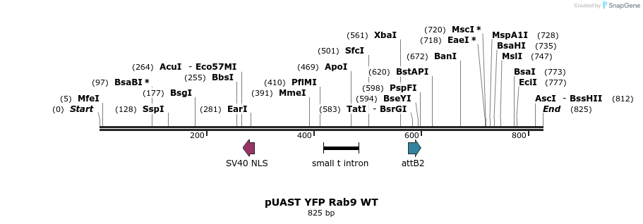 92326_map