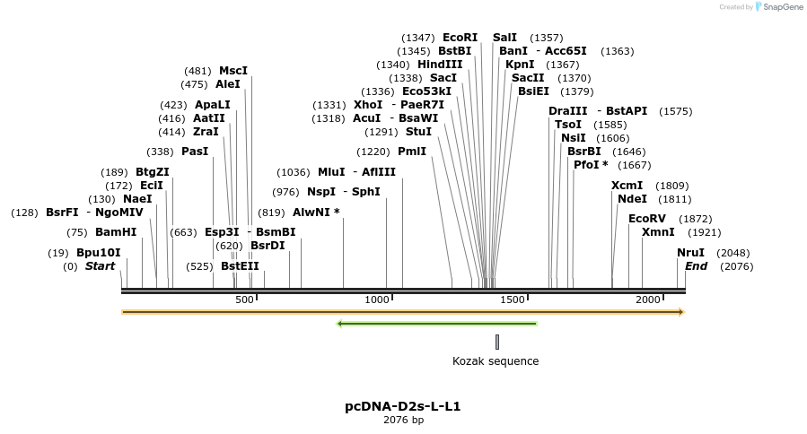 9419_map