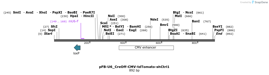 95160_map