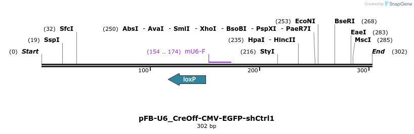97876_map