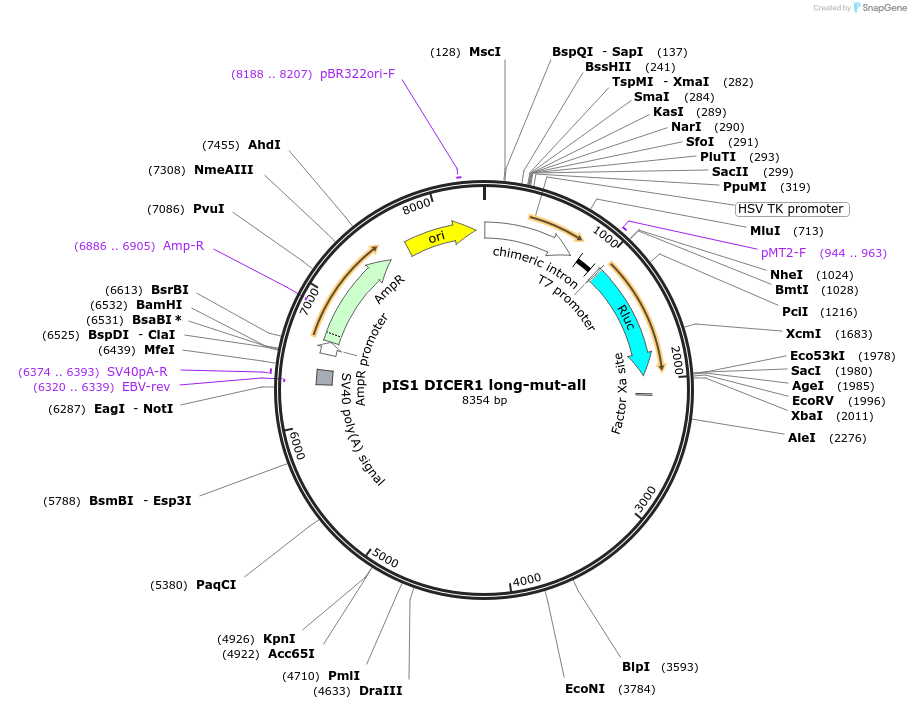 21653-plasmid-map-sequence-id-9946