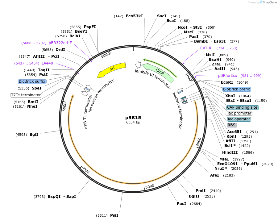 99724_map